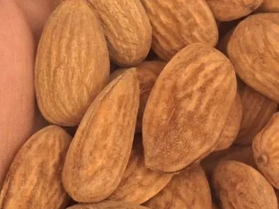 Drajelik Badem